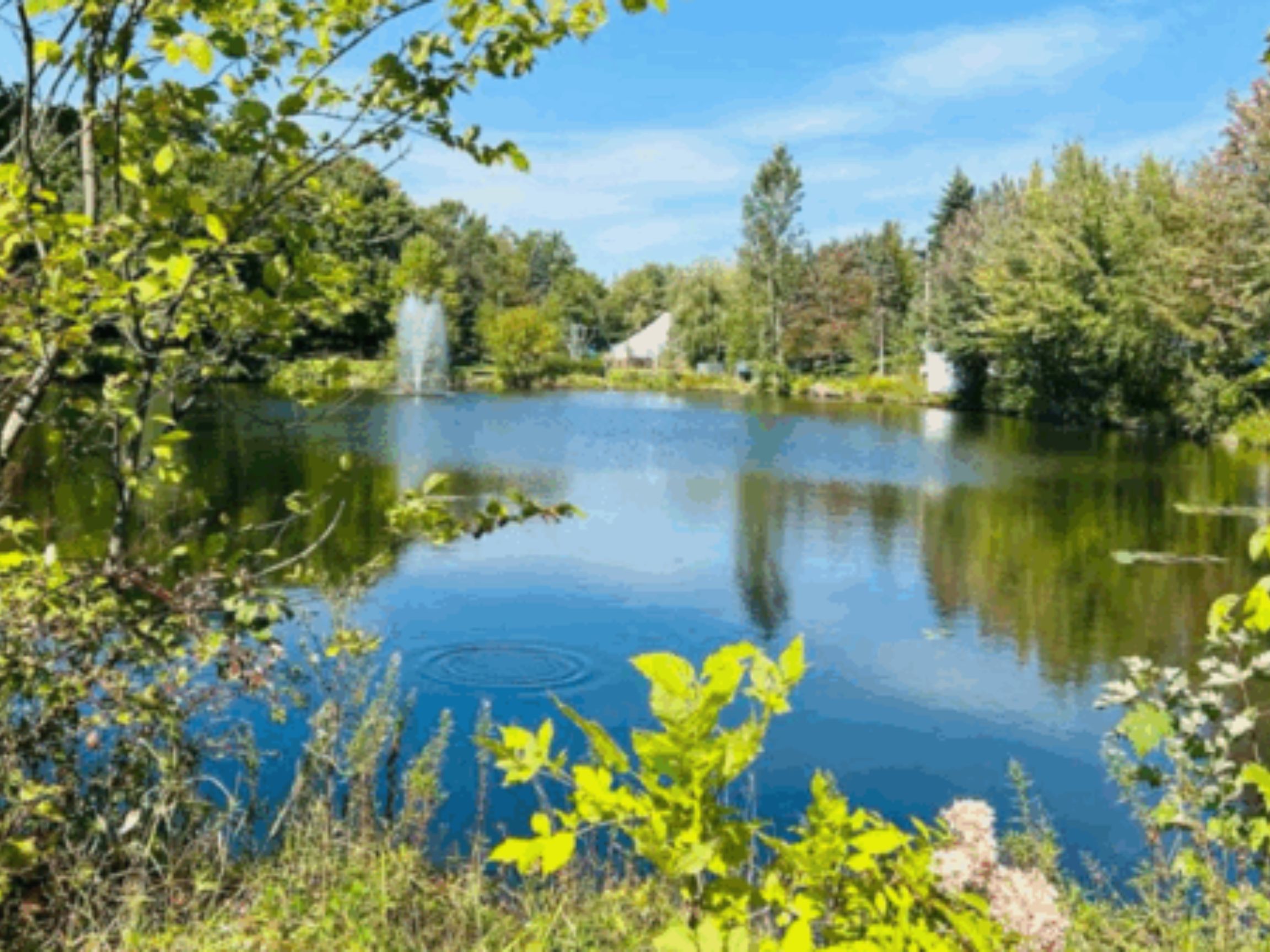 Découvre Sherbrooke, un parc à la fois